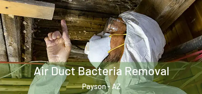  Air Duct Bacteria Removal Payson - AZ