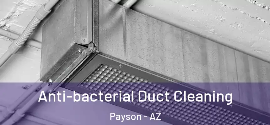  Anti-bacterial Duct Cleaning Payson - AZ
