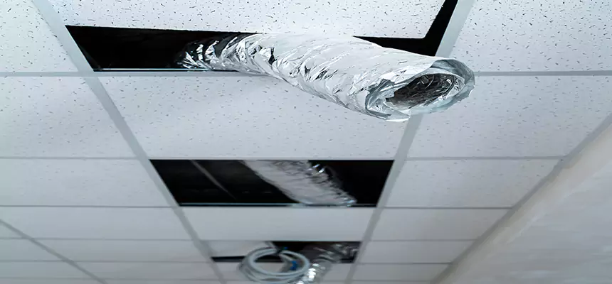 Our Air Duct Pet Hair Removal Services in Payson, AZ