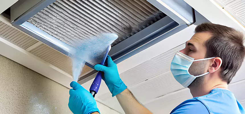 Proactive Dryer Vent & Auxiliary Duct Pollen Cleanup in Payson, AZ