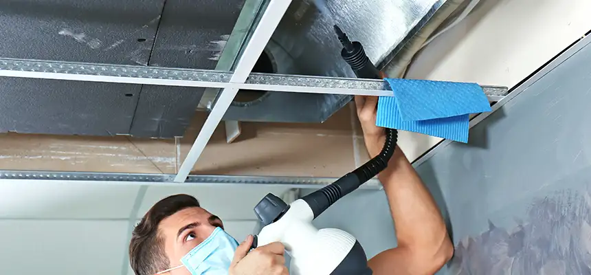 Our Air Duct Rodent Removal Services in Payson, AZ