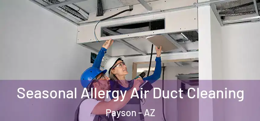  Seasonal Allergy Air Duct Cleaning Payson - AZ