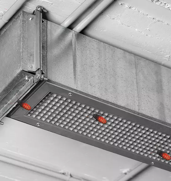 About Air Duct Cockroach Removal in Payson, AZ