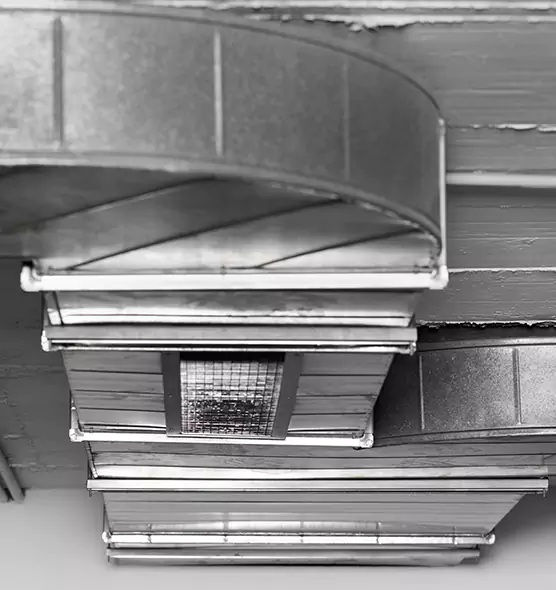 Professional Air Duct Pest Removal in Payson, AZ