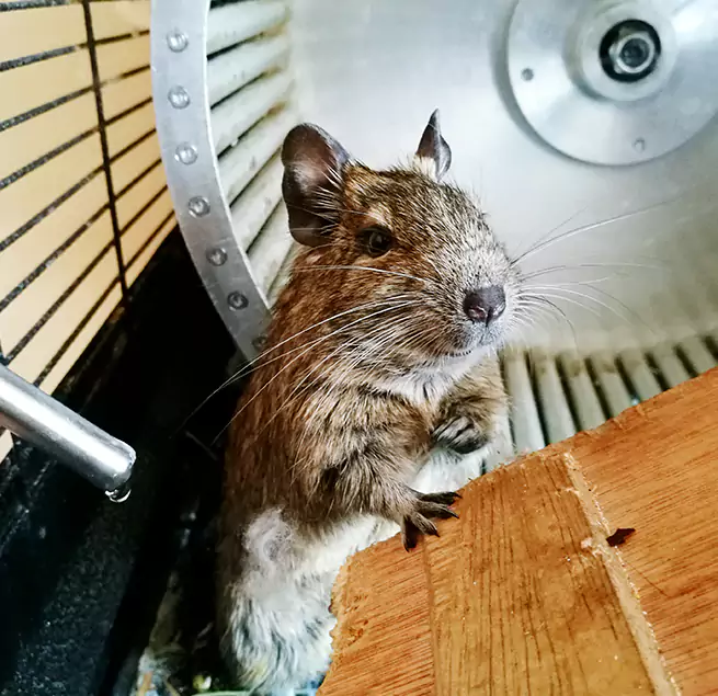 Why Homeowners & Businesses Trust Us Payson, AZ