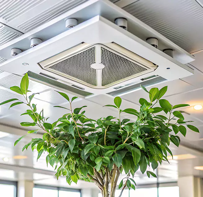 Why Homeowners & Businesses Trust Us in Payson, AZ?